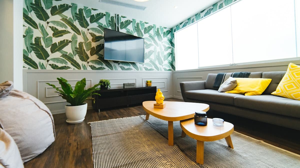 Big room in North D — close to Otago Uni