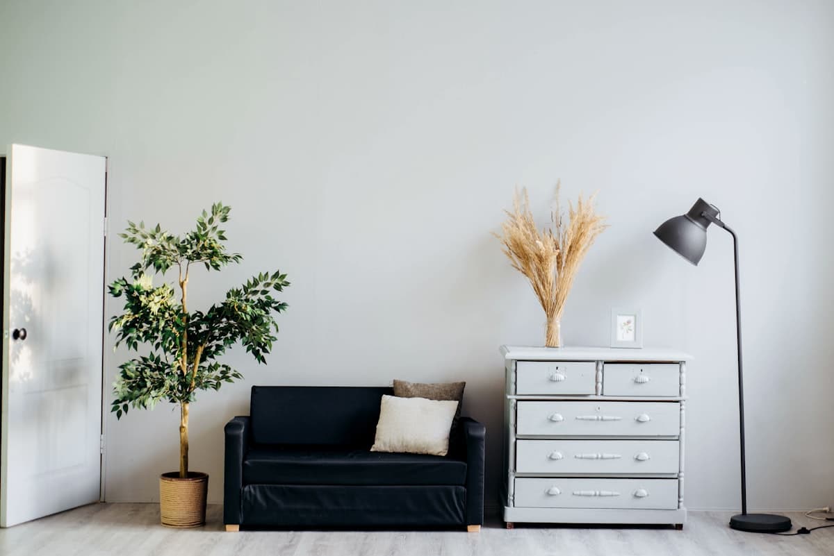 Creative shared house in Grey Lynn